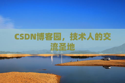 CSDN博客园，技术人的交流圣地
